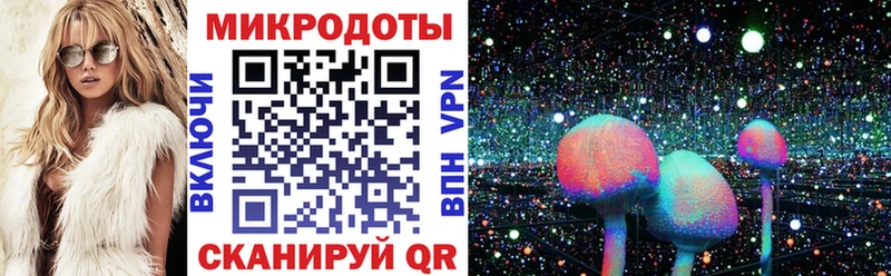Псилоцибиновые грибы GOLDEN TEACHER  Новомичуринск 